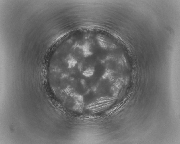 X0000115370822200912011131