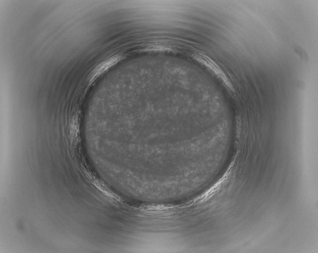 X0000115370826200912011131