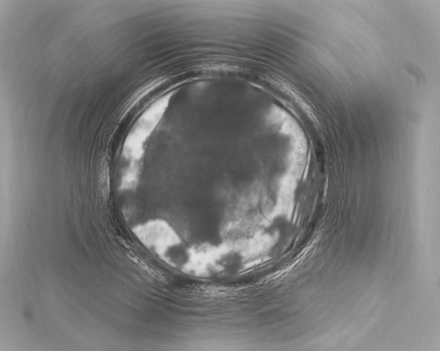 X0000115370829200912011131