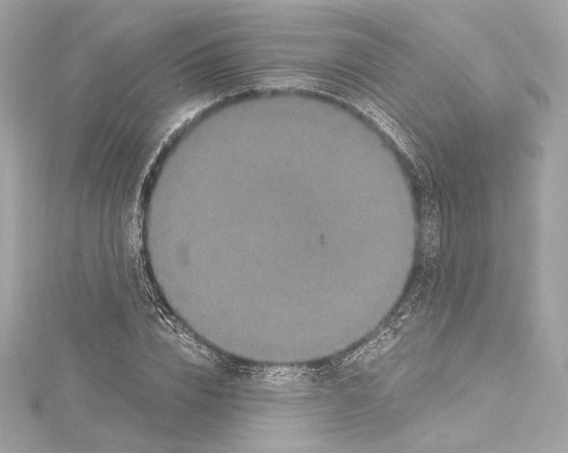 X0000115370832200912011131