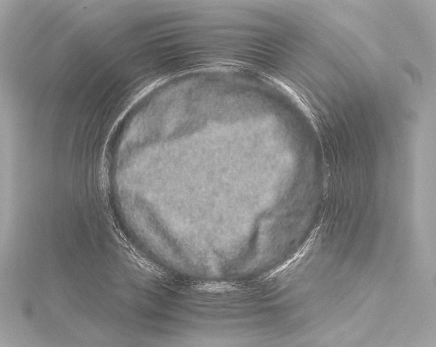 X0000115370835200912011131