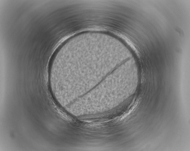 X0000115370837200912011131