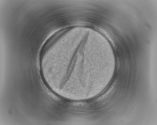 X0000115370843200912011132