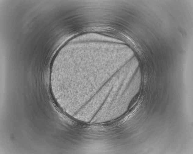 X0000115370844200912011132