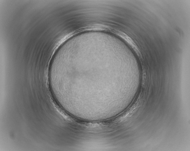 X0000115370850200912011132