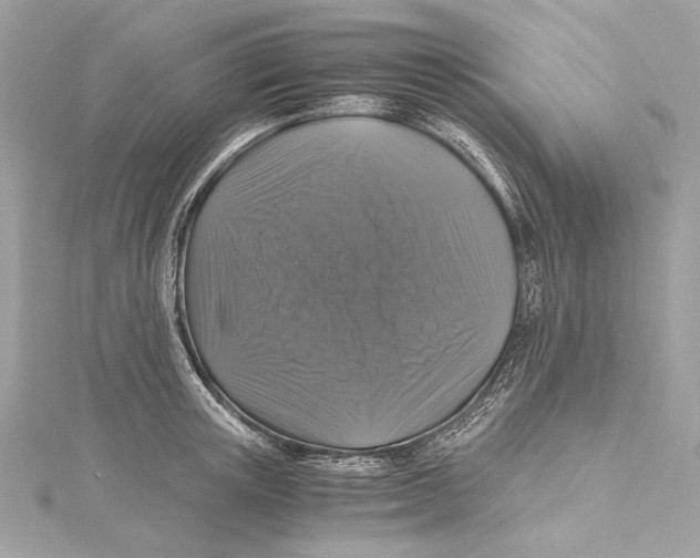X0000115370851200912011132