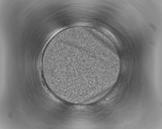 X0000115370852200912011132