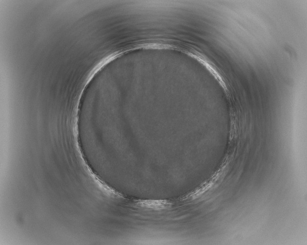 X0000115370853200912011132