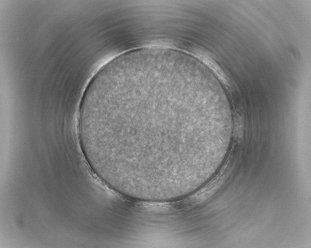 X0000115370856200912011132