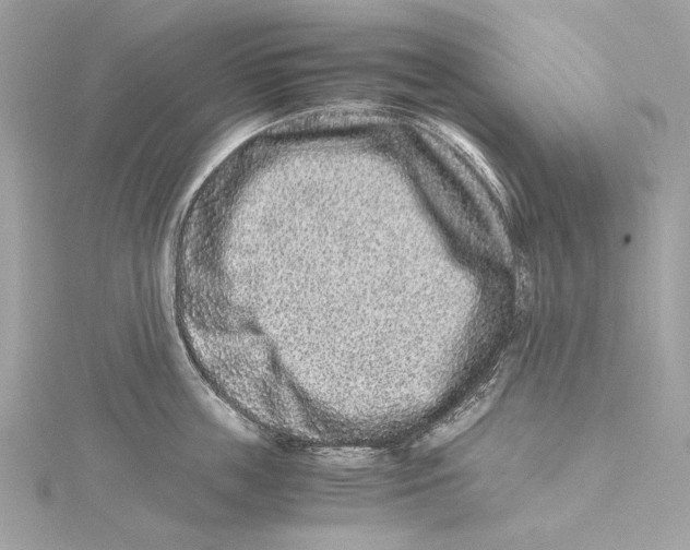 X0000115370859200912011132