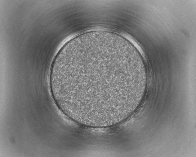 X0000115370861200912011132
