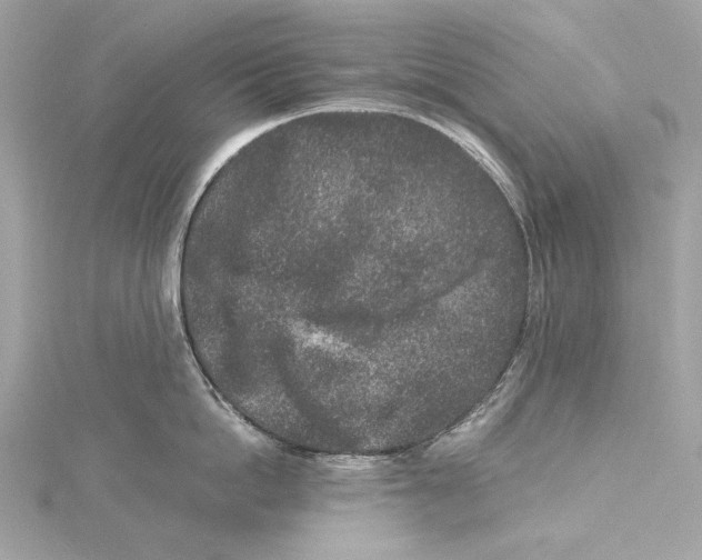 X0000115370862200912011132