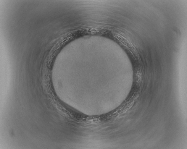 X0000115370865200912011131