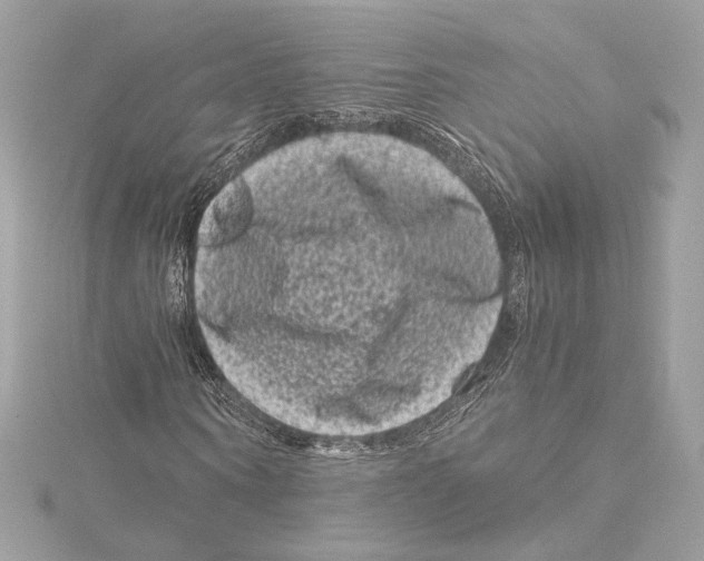 X0000115370866200912011131