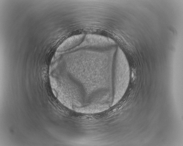 X0000115370867200912011131