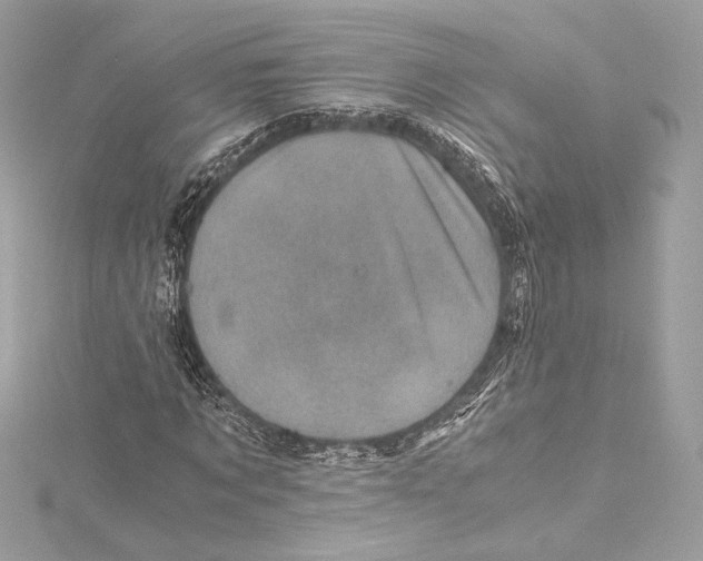 X0000115370869200912011131