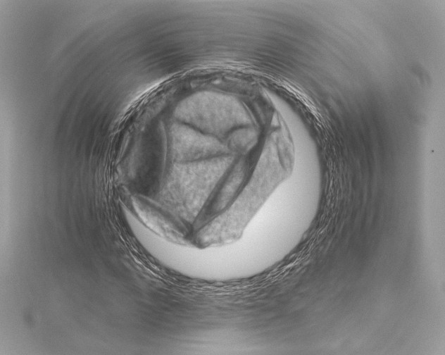 X0000115370872200912011131