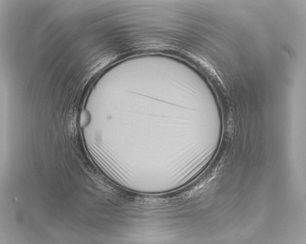 X0000115370873200912011131
