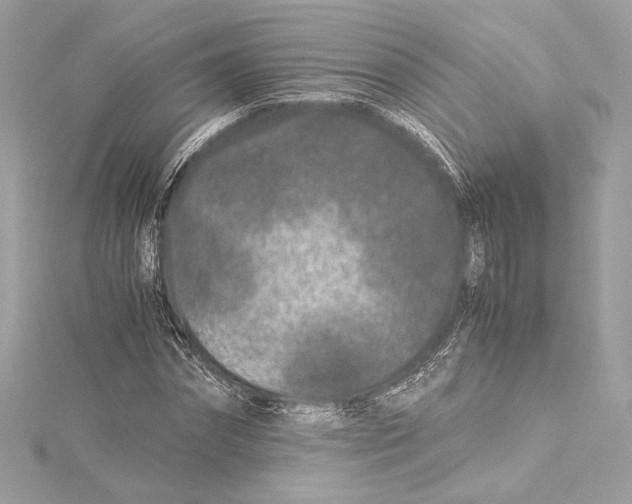 X0000115370874200912011131