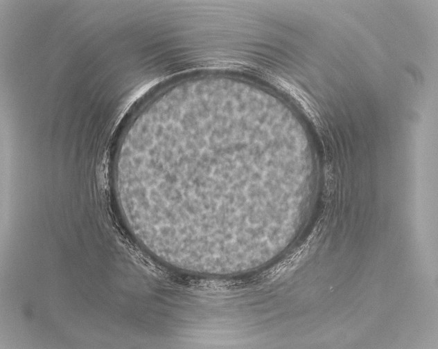 X0000115370875200912011131