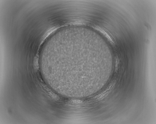 X0000115370878200912011131