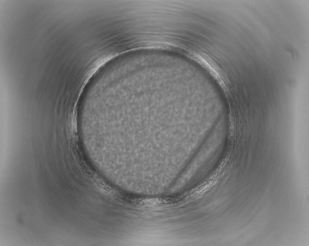 X0000115370883200912011131