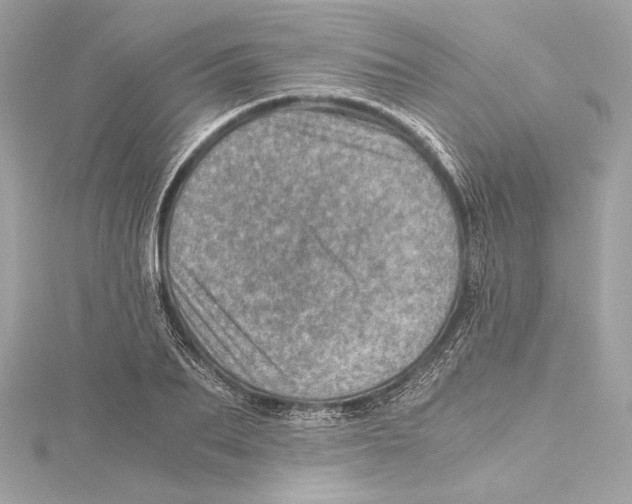 X0000115370887200912011131