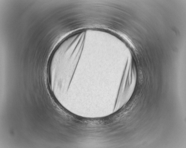 X0000115370895200912011131