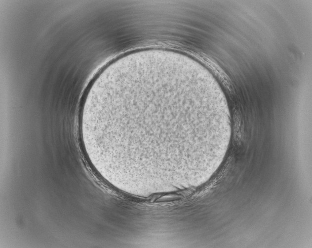 X0000115370896200912011131