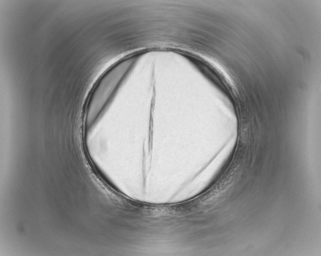 X0000115370903200912011131