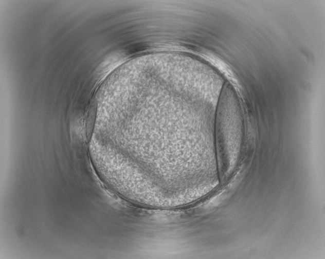 X0000115370905200912011131