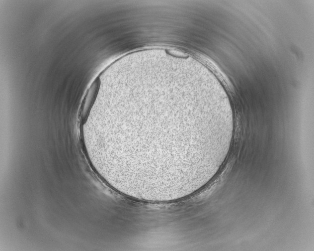 X0000115370908200912011131