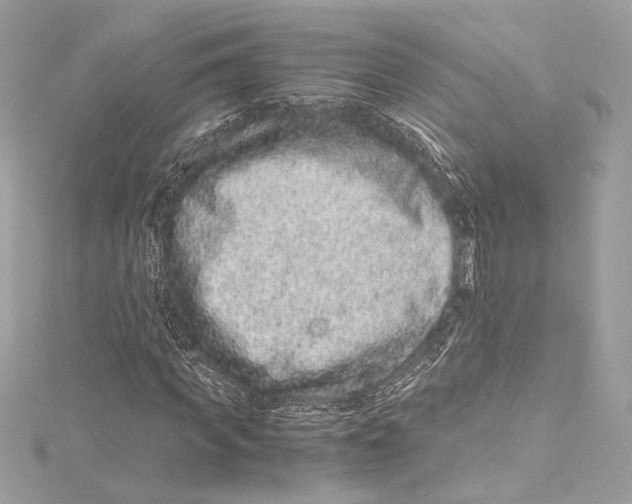 X0000115370917200912011130