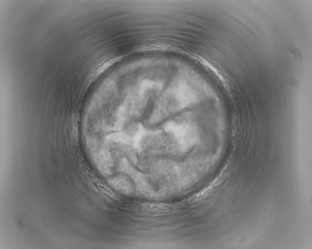 X0000115370921200912011130