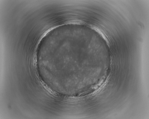 X0000115370923200912011130