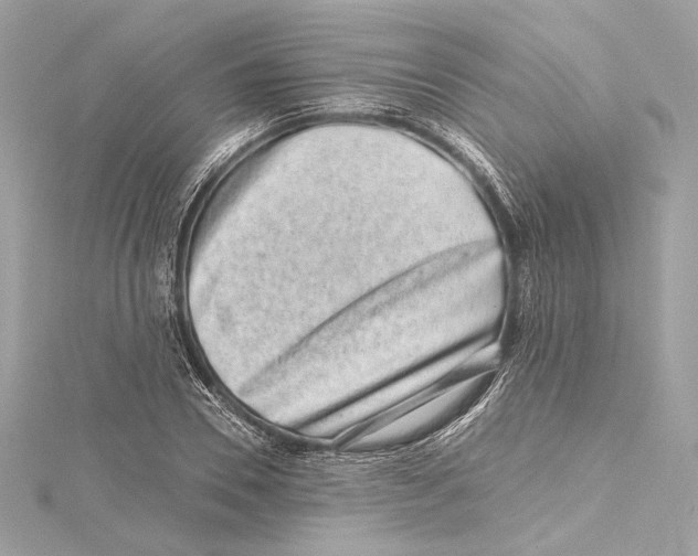X0000115370930200912011130