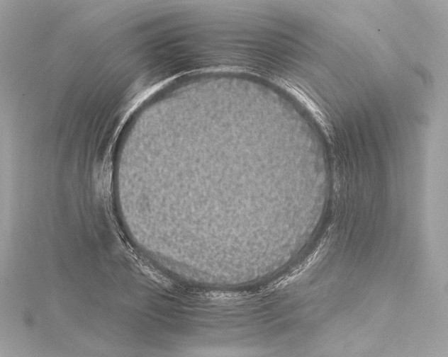 X0000115370933200912011130