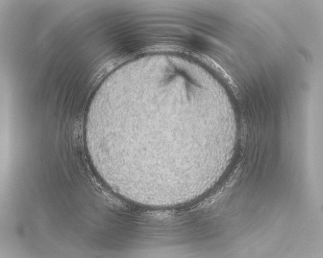 X0000115370937200912011130