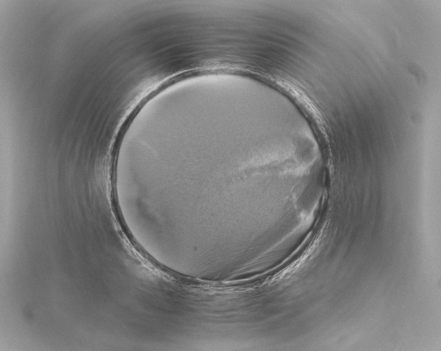 X0000115370941200912011130