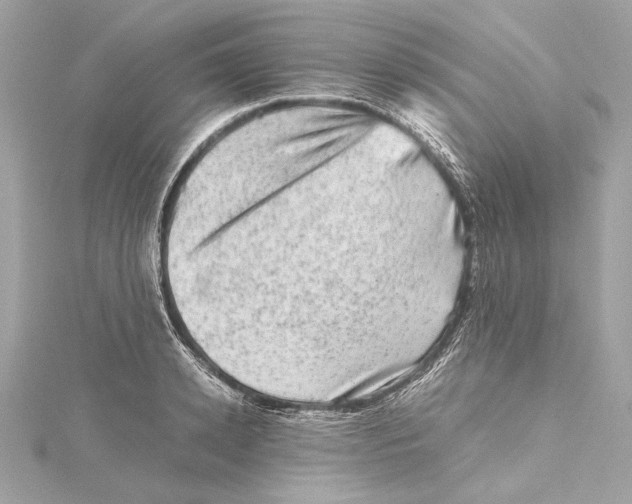 X0000115370942200912011130