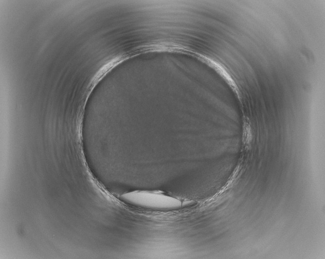 X0000115370946200912011130