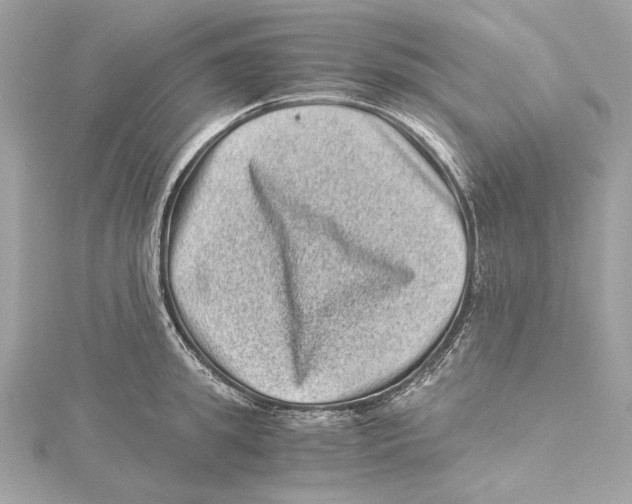 X0000115370949200912011130