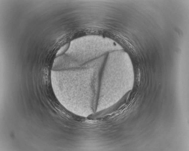 X0000115370964200912011130