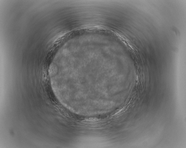 X0000115370966200912011130
