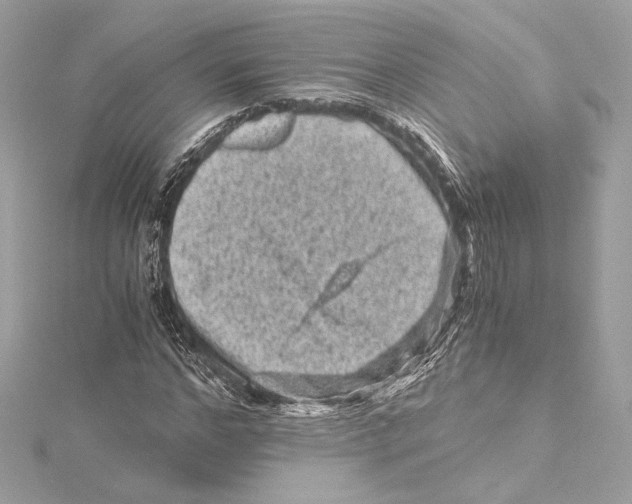 X0000115370968200912011130
