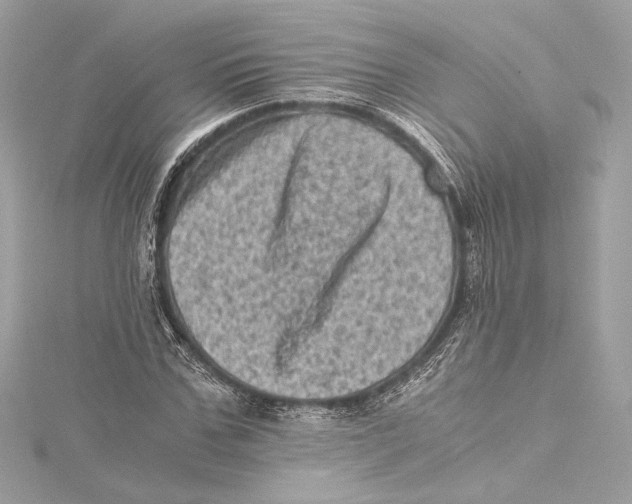 X0000115370971200912011130