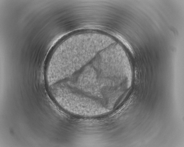 X0000115370972200912011130