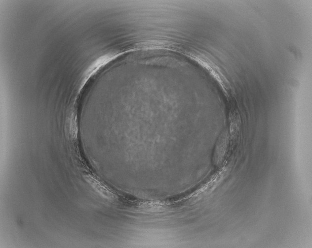 X0000115370973200912011130