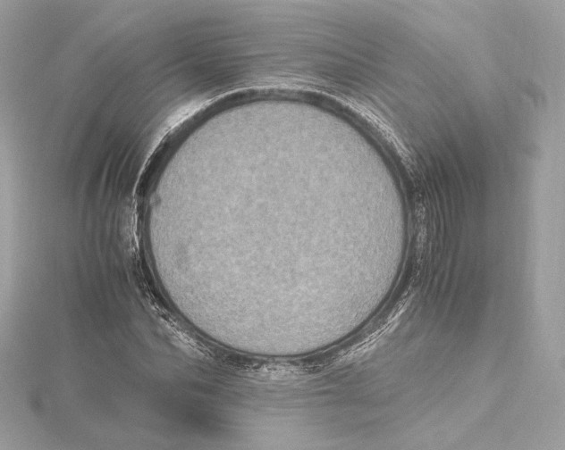 X0000115370974200912011130