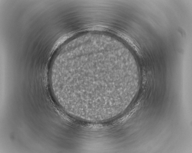X0000115370978200912011130